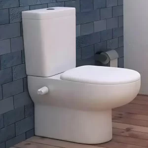 Ideal Plan shower-adjoining toilet